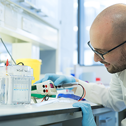 Dan Cox working in the lab